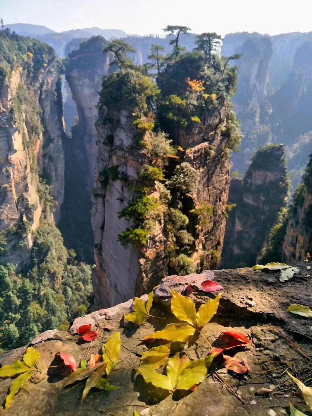 Tongfu Inn จางเจียเจี้ย ภายนอก รูปภาพ