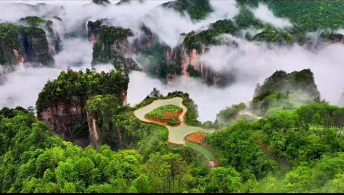 Tongfu Inn จางเจียเจี้ย ภายนอก รูปภาพ